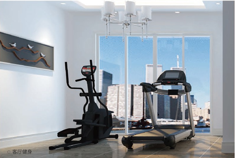 家庭健身房器材-leyu.乐鱼健身器材